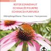 roter sonnenhut einjährige blumen Insektenweide Bienenweide einjährige blumen pro specie rara samen bio saatgut sativa kompost&liebe kaufen online shop