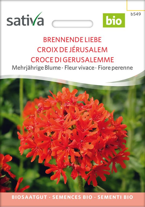 Brennende Liebe mehrjährige blumen stauden Insektenweide Bienenweide einjährige blumen pro specie rara samen bio saatgut sativa kompost&liebe kaufen online shop bestellen demeter