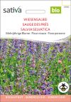 Wiesensalbei Salbei samen bio saatgut sativa kompost&liebe kaufen online shop