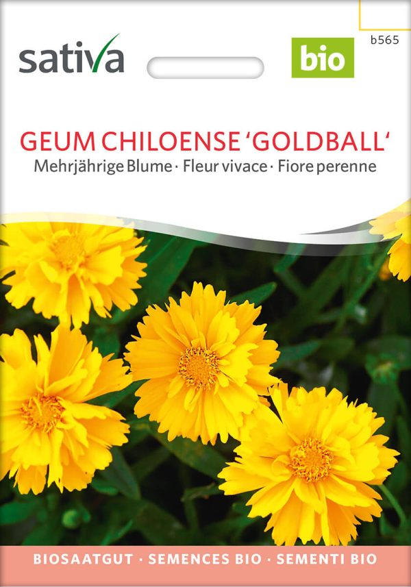 Geum Chiloense 'Goldball' mehrjährige blumen stauden Insektenweide Bienenweide einjährige blumen pro specie rara samen bio saatgut sativa kompost&liebe kaufen online shop bestellen demeter