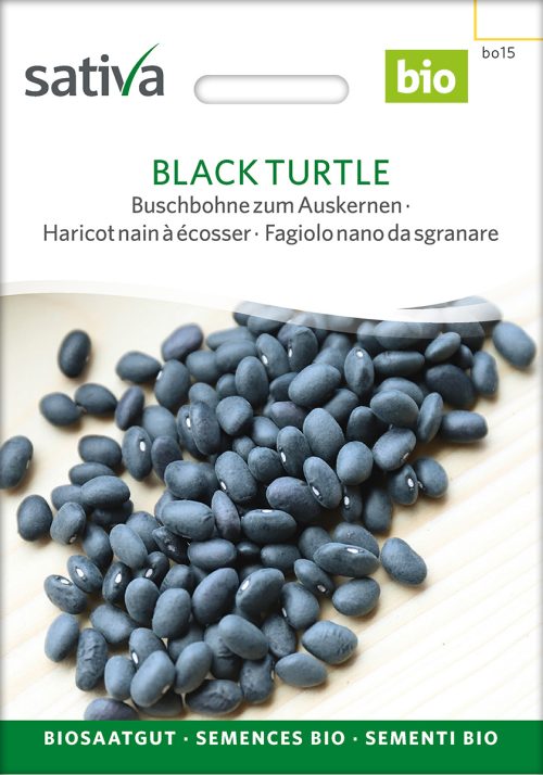 Black Turtle buschbohnen zum auskernen samen bio saatgut sativa kompost&liebe kaufen online shop