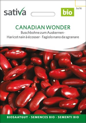 Canadian Wonder Bio Buschbohne zum Auskernen samen wachsbohnen saatgut sativa kompost&liebe kaufen online shop