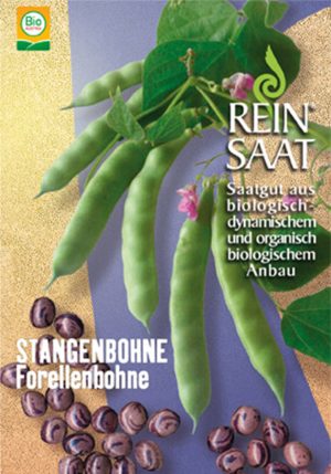 Stangenbohne Forellenbohne bio demeter gemüse samen sativa reinsaat kompost&liebe kompost und liebe bio demeter düngung saatgut samen rigotti rigottitomate