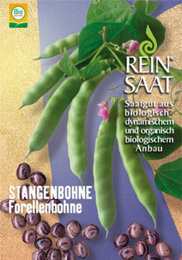 Stangenbohne Forellenbohne bio demeter gemüse samen sativa reinsaat kompost&liebe kompost und liebe bio demeter düngung saatgut samen rigotti rigottitomate