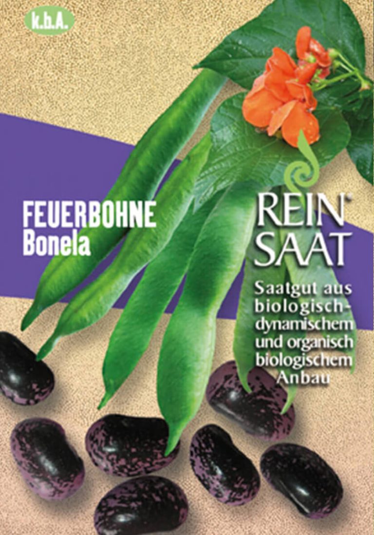 Stangenbohne Bonela bio demeter gemüse samen sativa reinsaat kompost&liebe kompost und liebe bio demeter düngung saatgut samen reinsaat kaufen