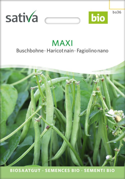 Maxi Bio Buschbohne samen wachsbohnen saatgut sativa kompost&liebe kaufen online shop