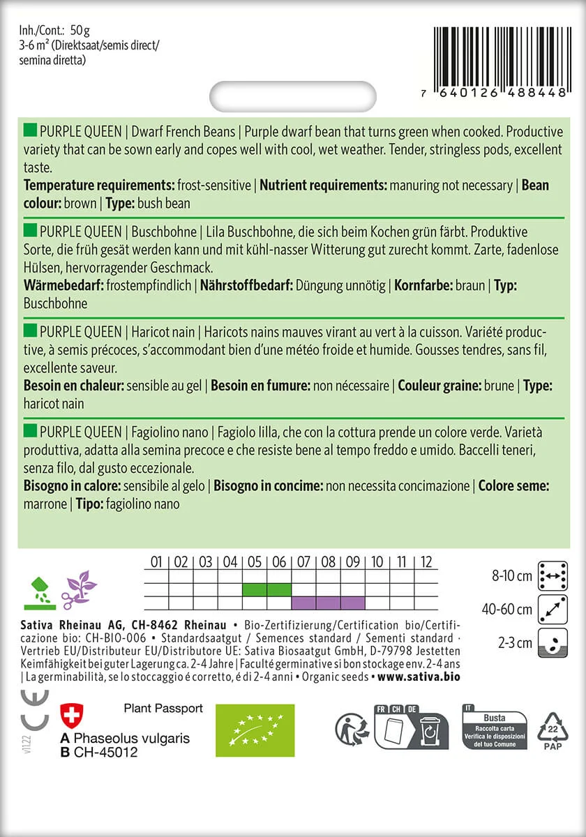 bohnensamen buschbohnensamen