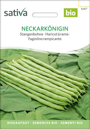 Stangenbohne, grün, samen bio saatgut sativa kompost&liebe kaufen online shop