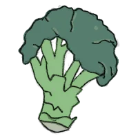 kohl brokkoli broccoli brockoli kaufen samenfest sativa alte sorten vielfalt garten anbauen pflanzen reinsaat kompost&liebe kompost und liebe bio demeter düngung saatgut samen