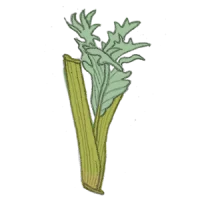 cardy samen kompost und liebe saatgut kaufen online shop