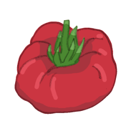 fleischtomate300 tomaten cherrytomaten fleischtomaten gewächshaustomaten freilandtomaten pelatitomaten alte sorte bio saatgut kaufen samenfest sativa alte sorten vielfalt garten anbauen pflanzen reinsaat kompost&liebe kompost und liebe bio demeter düngung saatgut samen
