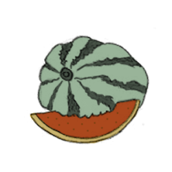 melone melonen zuckermelone honigmelone samen kompost und liebe saatgut kaufen online shop alte sorten samenfest bio demeter