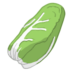 zuckerhut300 zuckerhut Endiviensalat zichoriensalat chicoree bio saatgut kaufen samenfest sativa alte sorten vielfalt garten anbauen pflanzen reinsaat kompost&liebe kompost und liebe bio demeter düngung saatgut samen
