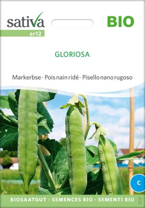 Markerbse gloriosa alte sorte bioverita pro specie rara samen bio saatgut sativa kompost&liebe kaufen online shop