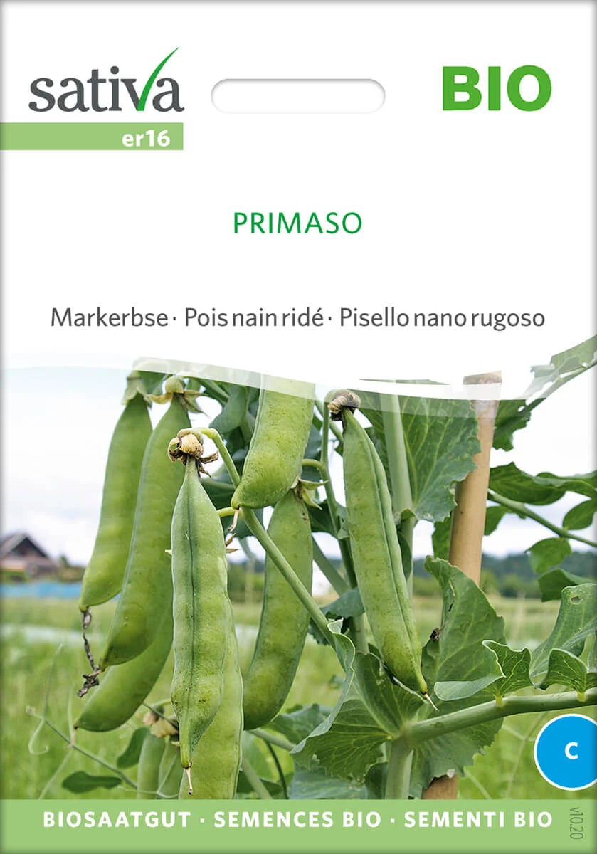 Primaso 1 Markerbse Primaso alte sorte bioverita pro specie rara samen bio saatgut sativa kompost&liebe kaufen online shop