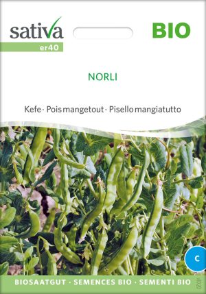 Zuckererbse Kefe Norli alte sorte bioverita pro specie rara samen bio saatgut sativa kompost&liebe kaufen online shop