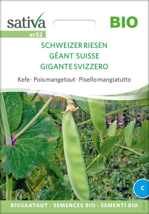 Zuckererbse Kefe schweizer riesen alte sorte bioverita pro specie rara samen bio saatgut sativa kompost&liebe kaufen online shop