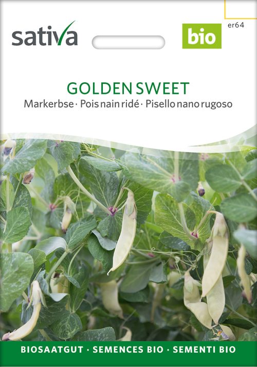 Golden Sweet Markerbse alte sorte bioverita pro specie rara samen bio saatgut sativa kompost&liebe kaufen online shop