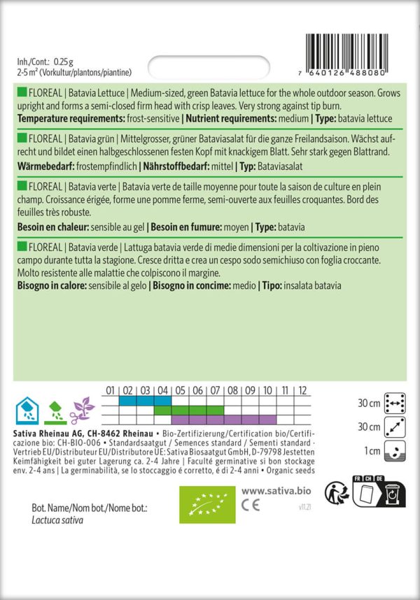 Eissalat batavia grün floreal freiland Saatgut,Bio Sativa kompost und liebe kaufen alte sorten samenfest online shop garten selbstversorger