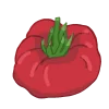 tomaten cherrytomaten fleischtomaten gewächshaustomaten freilandtomaten pelatitomaten alte sorte bio saatgut kaufen samenfest sativa alte sorten vielfalt garten anbauen pflanzen reinsaat kompost&liebe kompost und liebe bio demeter düngung saatgut samen