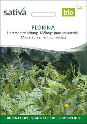 Florina Gründüngung Insektenweide Bienenweide mehrjährige blumen pro specie rara samen bio saatgut sativa kompost&liebe kaufen online shop