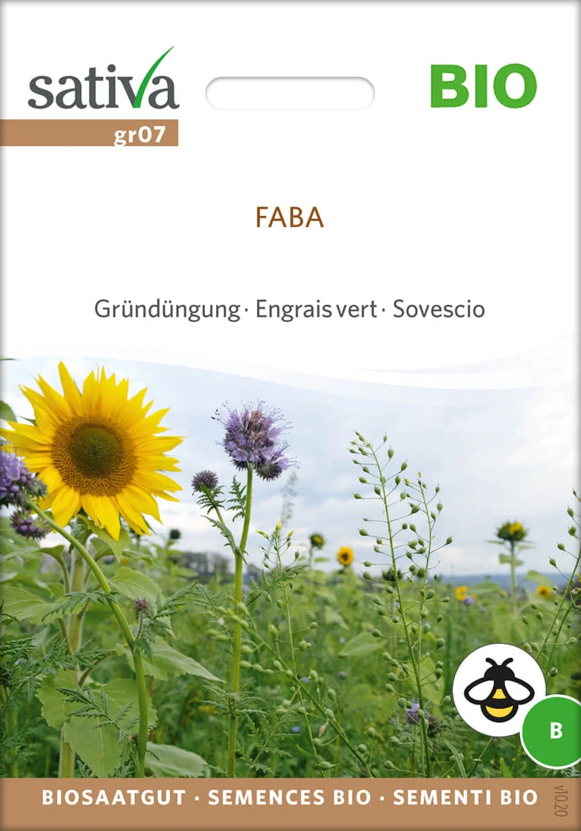 Faba 1 Faba Gründüngung Insektenweide Bienenweide mehrjährige blumen pro specie rara samen bio saatgut sativa kompost&liebe kaufen online shop