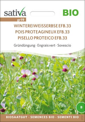 Wintereiweisserbse Gründüngung Insektenweide Bienenweide mehrjährige blumen pro specie rara samen bio saatgut sativa kompost&liebe kaufen online shop