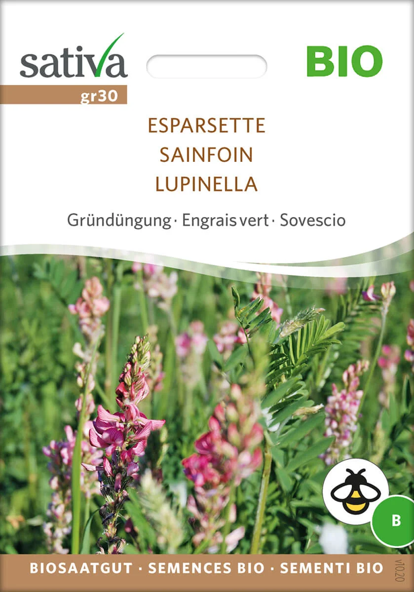 Esparsette 1 Esparsette Gründüngung Insektenweide Bienenweide mehrjährige blumen pro specie rara samen bio saatgut sativa kompost&liebe kaufen online shop