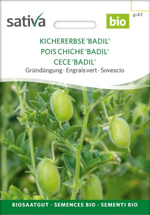 Kichererbse Badil Gründüngung samen bio saatgut sativa kompost&liebe kaufen online shop