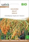 Goldhirse Getreide Gründüngung Insektenweide Bienenweide mehrjährige blumen pro specie rara samen bio saatgut sativa kompost&liebe kaufen online shop