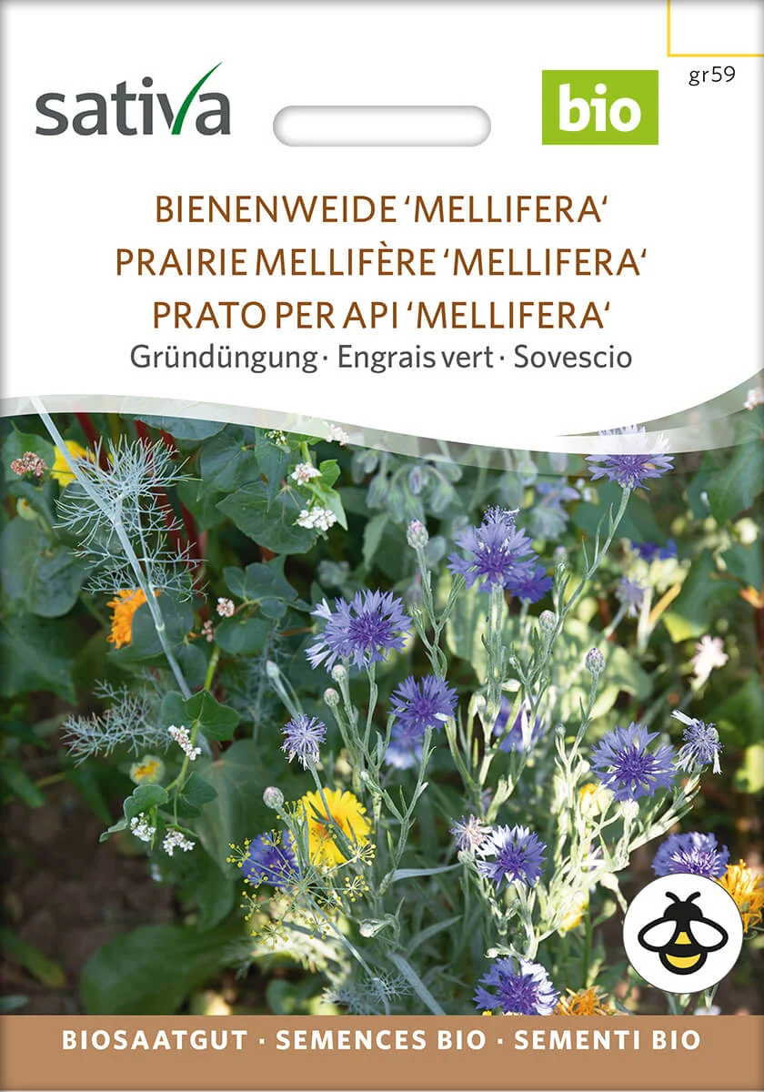 Bienenweide 'Mellifera' 1 Bienenweide Mellifera Gründüngung samen bio saatgut sativa kompost&liebe kaufen online shop