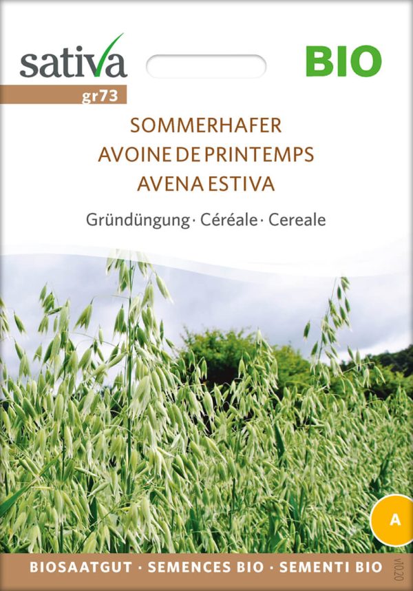 Sommerhafer Getreide Gründüngung Insektenweide Bienenweide mehrjährige blumen pro specie rara samen bio saatgut sativa kompost&liebe kaufen online shop