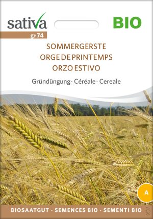 Sommergerste Getreide Gründüngung Insektenweide Bienenweide mehrjährige blumen pro specie rara samen bio saatgut sativa kompost&liebe kaufen online shop