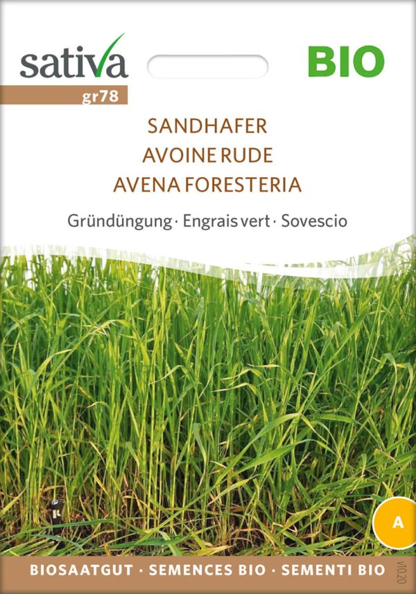 Sandhafer Getreide Gründüngung Insektenweide Bienenweide mehrjährige blumen pro specie rara samen bio saatgut sativa kompost&liebe kaufen online shop