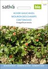 Acker-Gauchheil Heilkraut HeilkrÃ¤uter Heilpflanzen GrÃ¼ndÃ¼ngung GrÃ¼ndÃ¼nger samen bio saatgut sativa kompost&liebe kaufen online shop