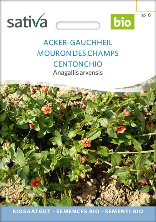 Acker-Gauchheil Heilkraut Heilkräuter Heilpflanzen Gründüngung Gründünger samen bio saatgut sativa kompost&liebe kaufen online shop