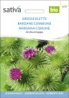 große klette grosse klette Heilkraut Heilkräuter Heilpflanzen Gründüngung Gründünger samen bio saatgut sativa kompost&liebe kaufen online shop bestellen