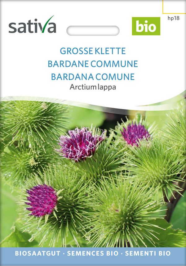 große klette grosse klette Heilkraut Heilkräuter Heilpflanzen Gründüngung Gründünger samen bio saatgut sativa kompost&liebe kaufen online shop bestellen