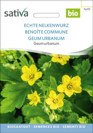 echter nelkenwurz Heilkraut Heilkräuter Heilpflanzen Gründüngung Gründünger samen bio saatgut sativa kompost&liebe kaufen online shop bestellen