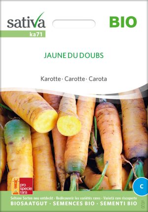 jaune du doubs alte sorte karotte möhre bioverita pro specie rara samen bio saatgut sativa kompost&liebe kaufen online shop