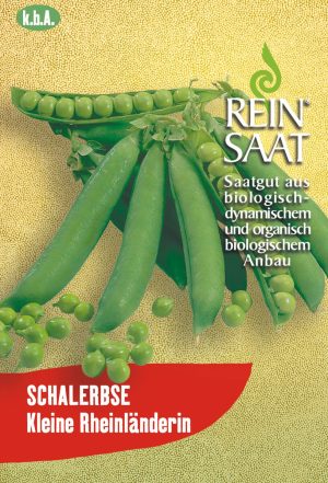 Kleine Rheinländerin Zuckererbse-samen -reinsaat bio, samenfestes saatgut, bei Kompost&Liebe kaufen