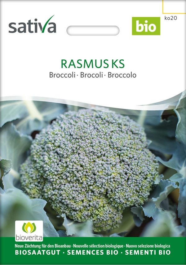 rasmus broccoli bio samen saatgut