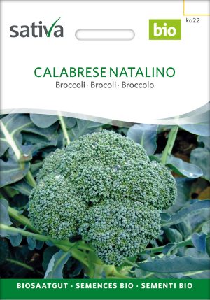 Calabrese Natalino broccoli bio samen bio saatgut samenfest alte Sorte brokkoli