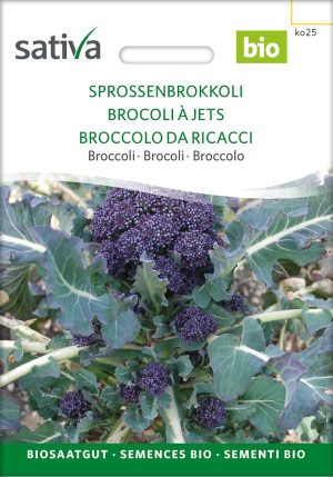 Sprossenbrokkoli, brokkoli broccoli, pro specie rara samen bio saatgut sativa kompost&liebe kaufen online shop