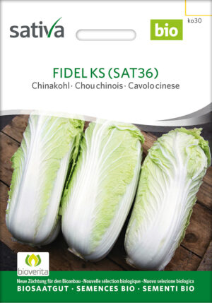 auslese,Chinakohl,samen,Saatgut,Bio,Demeter,sativa,