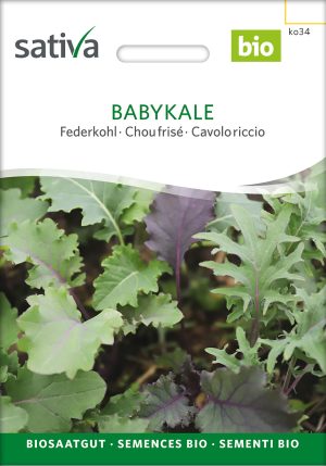 Babykale Federkohl Grünkohl grün pro specie rara samen bio saatgut sativa kompost&liebe kaufen online shop