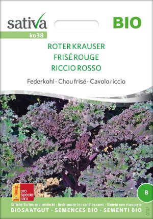 roter krauser grünkohl gruenkohl pro specie rara samen bio saatgut sativa kompost&liebe kaufen online shop