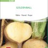 golden ball räbe rübe steckrübe pro specie rara samen bio saatgut sativa kompost&liebe kaufen online shop