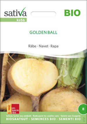 golden ball räbe rübe steckrübe pro specie rara samen bio saatgut sativa kompost&liebe kaufen online shop