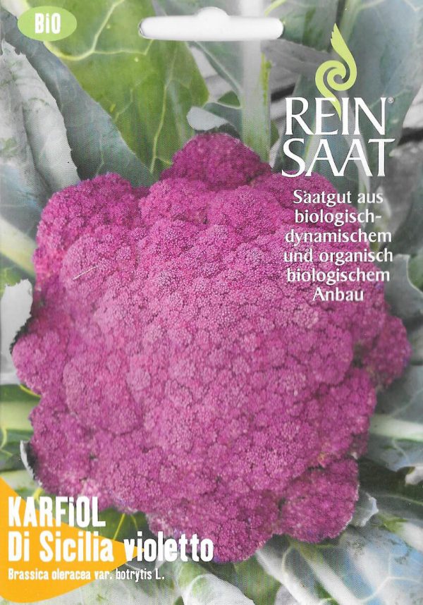 Blumenkohl Karfiol Di Sicilia Violetto bio demeter gemüse samen sativa reinsaat kompost&liebe kompost und liebe bio demeter düngung saatgut samen rigotti rigottitomate